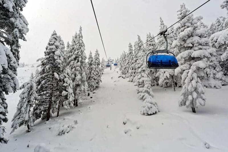 From Tbilisi: Borjomi and Bakuriani Ski Resort Private Tour - Key points to know before booking