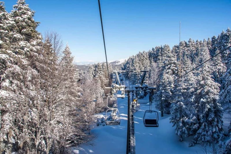 From Tbilisi: Borjomi and Bakuriani Ski Resort Private Tour - Why this private day trip makes sense