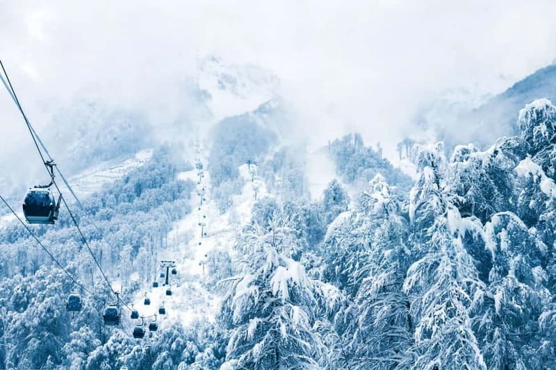 From Tbilisi: Borjomi and Bakuriani Ski Resort Private Tour - Leaving Tbilisi in a private vehicle