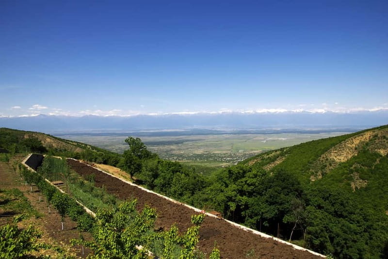 From Tbilisi: Kakheti & Sighnaghi Guided Day Trip with Wine - Manavi begins the countryside transition