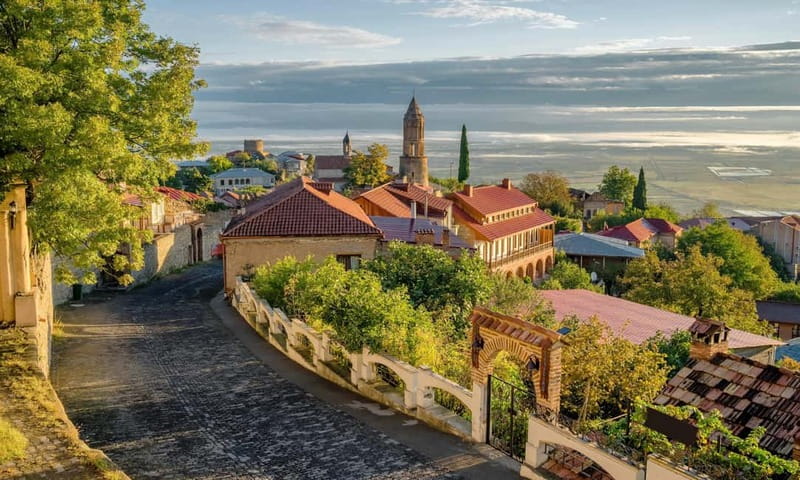 From Tbilisi: Kakheti Wine Region Tour with 9 Wine Tastings - Who should book this tour?