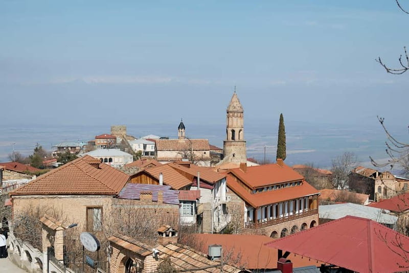From Tbilisi: Kakheti Wine Trip + Free Wine&Chacha Tasting - Transport, guides, and the long return