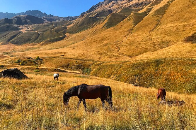 From Tbilisi: Kazbegi Ananuri Gudauri and Trusso Valley by 4x4 - Europe Square and the early start