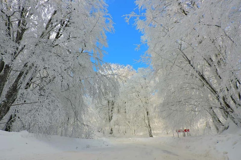 From Tbilisi: Private Sabaduri, Ananuri, & Gudauri Day Trip - Four hours at Gudauri Ski Resort