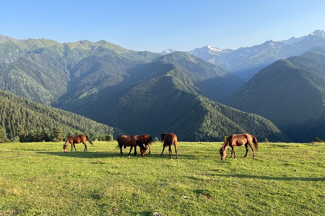 From Tbilisi: Svaneti 4 Days Private tour (Mestia, Ushguli) - Day two: Martvili Canyon and the Enguri route