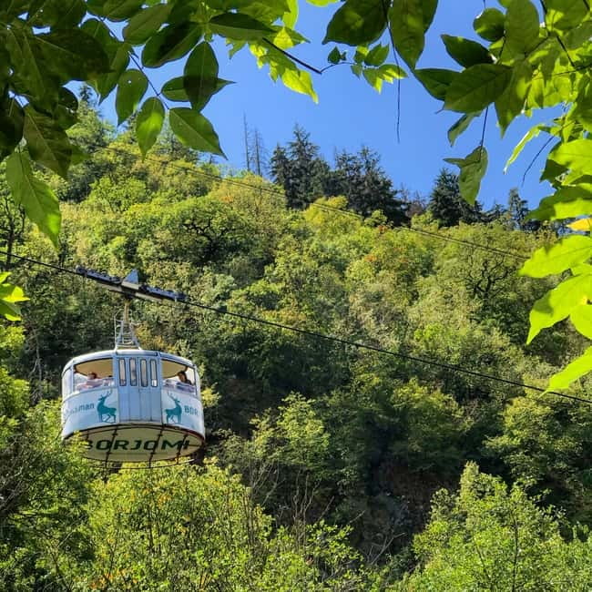 From Tbilisi: Vardzia, Rabati, and Borjomi Private Tour - Is $130 per person good value?