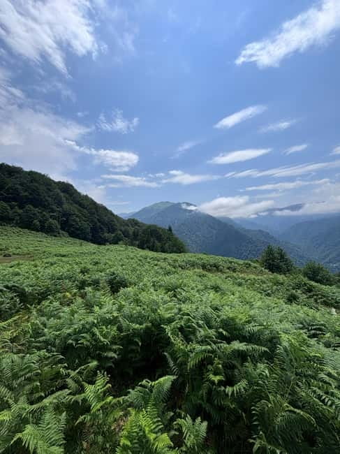Full Day Mountine Tours from Batumi - Leaving Batumi for Adjara’s mountain roads