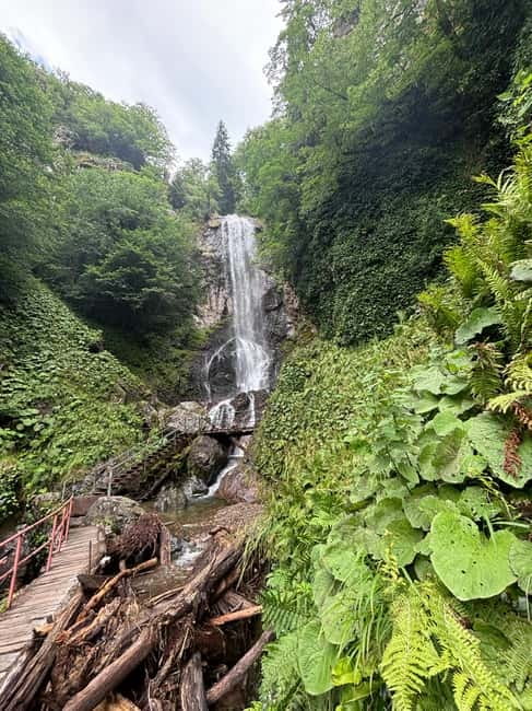 Full Day Mountine Tours from Batumi - Keda Municipality brings food and local flavor