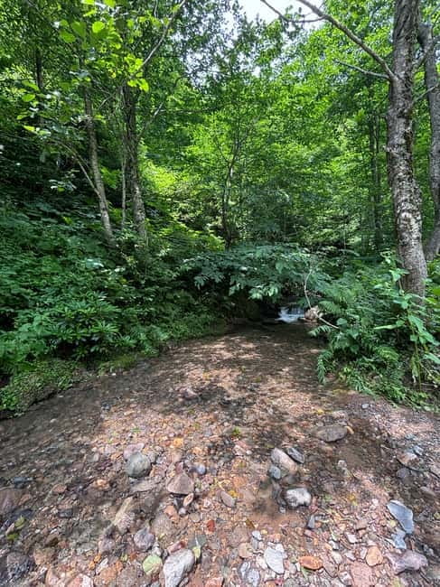 Full Day Mountine Tours from Batumi - What the $300 private price really buys