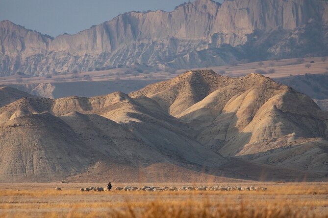 Full-day Private Wilderness tour in Vashlovani National Park - Leopard Viewpoint and the Pantishara Gorge