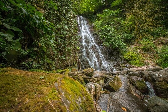 Full Day Tour from Batumi to Waterfalls - Makhuntseti Waterfall is the busiest and most active stop