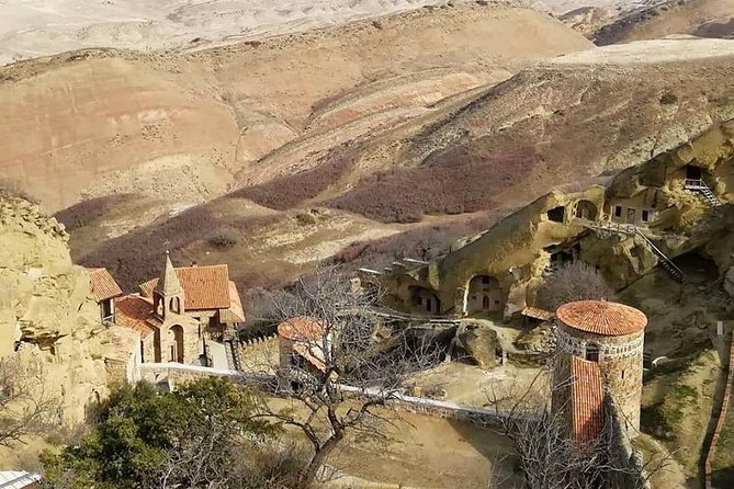 Full day tour to Kakheti: David Gareja and Signagi Town - Should you book the David Gareja and Signagi day trip?