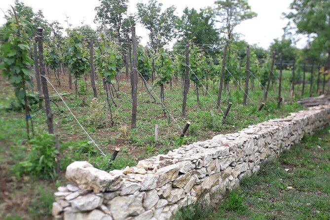 Gelati, Prometheus, Sanatoriums and Wine tour - Who will get the most from this tour?