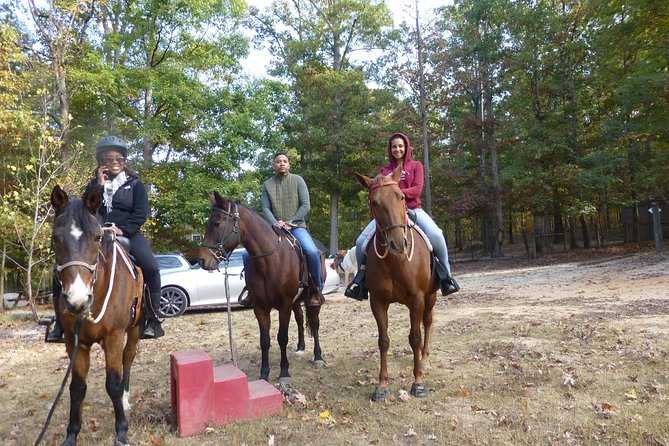 Georgia Horseback Ride with Wine Tasting - Key points to know before you book