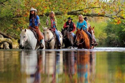 Georgia Horseback Ride with Wine Tasting