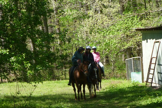 Georgia Horseback Ride with Wine Tasting - Is $284.11 per person a fair price?