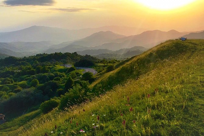 German village in Georgia (Elisabethal) & Wine tasting - Tasting Asuretuli Shala at Raminashvilebis Marani