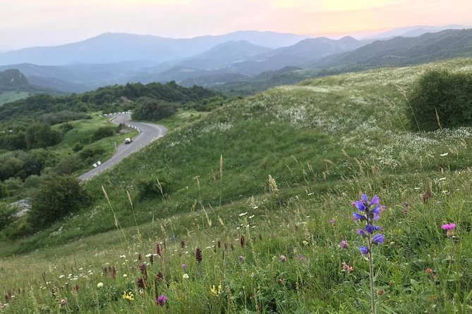 German village in Georgia (Elisabethal) & Wine tasting - What the private vehicle and guide add