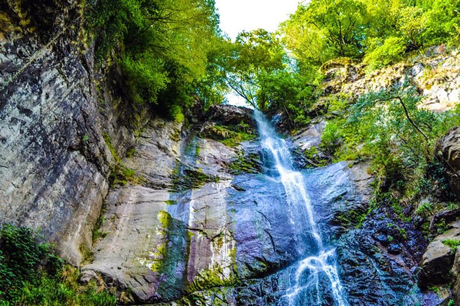Gonio and Adjarian Highland Tour - Key Points to Know Before You Book