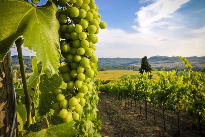 Grand tour to Kakheti for wine lovers: Telavi-Kvareli-Sighnaghi - Khareba Winery is the tour’s main wine stop