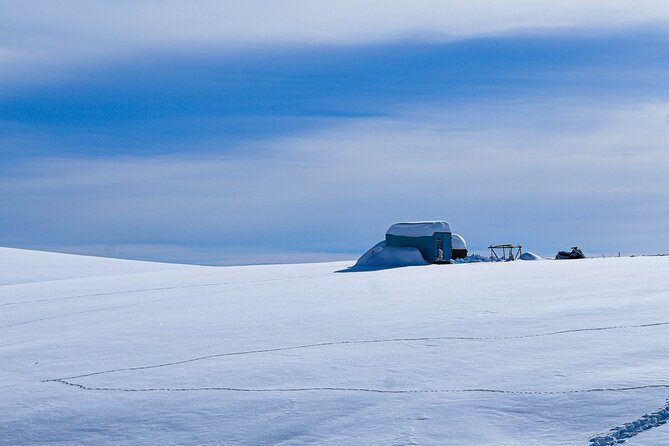 Gudauri Adventures - One Day Private Tour to Gudauri Ski Resort - Zhinvali Dam: Fifteen minutes for photographs