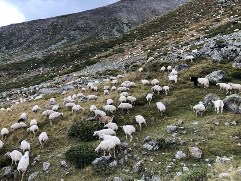 Gudauri and Kazbegi: Private Day Trip from Tbilisi - Key points to know before you book