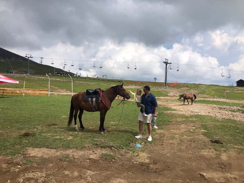 Gudauri and Kazbegi: Private Day Trip from Tbilisi - What the private guide adds