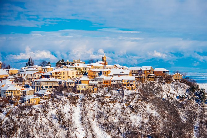 Highlights of Kakheti region-Signagi,Bodbe,Wine tasting(Private Tour) - Who Will Enjoy This Kakheti Day Trip?