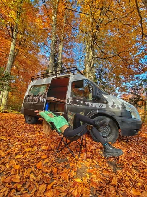 Into the wild - Should you book Into the Wild?