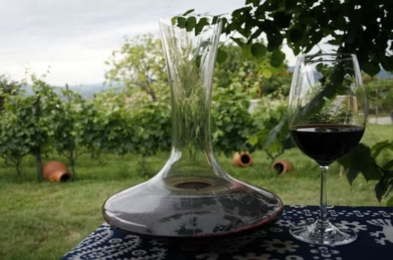 Kahketi: Full-Day Wine Tasting Tour with Lunch - Key points at a glance