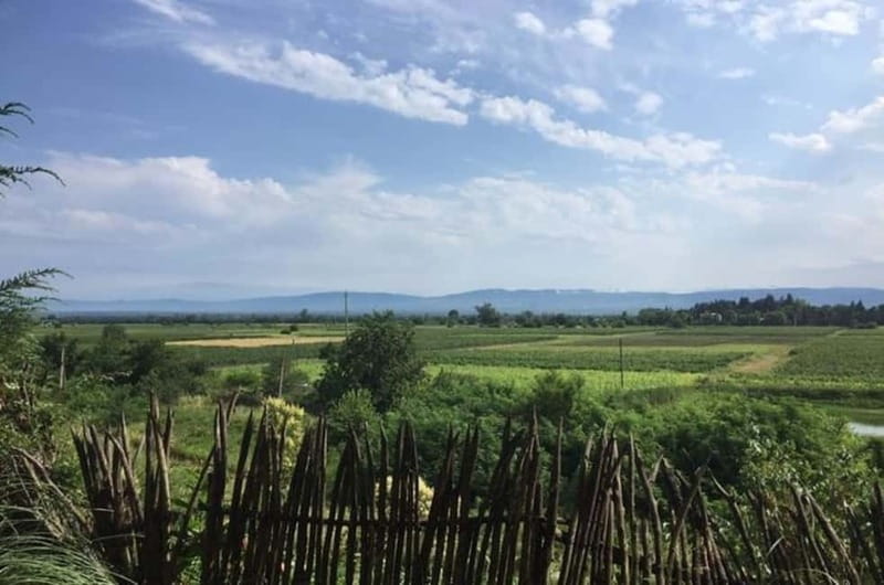Kahketi: Full-Day Wine Tasting Tour with Lunch - Tasting at Okro’s boutique winery