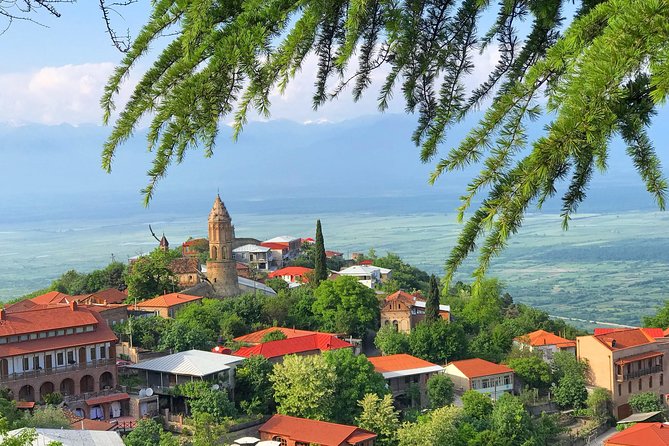 Kakheti and Sighnaghi tour with winetasting - Key things to know before you book