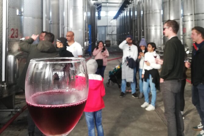 Kakheti Full Day Private Tour - Khareba’s Wine Tunnel and the extra admission