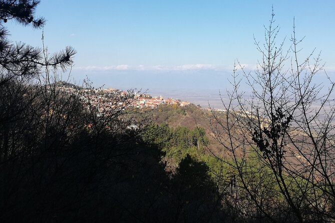Kakheti Full Day Private Tour - The guide can shape the entire experience
