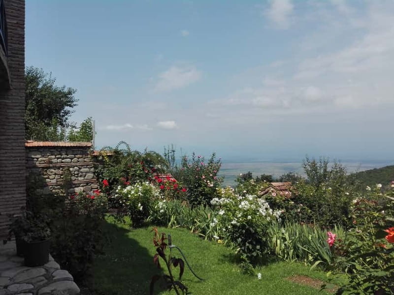 Kakheti: Individual Day Tour To Sighnaghi From Tbilisi - The private car and the six-hour schedule