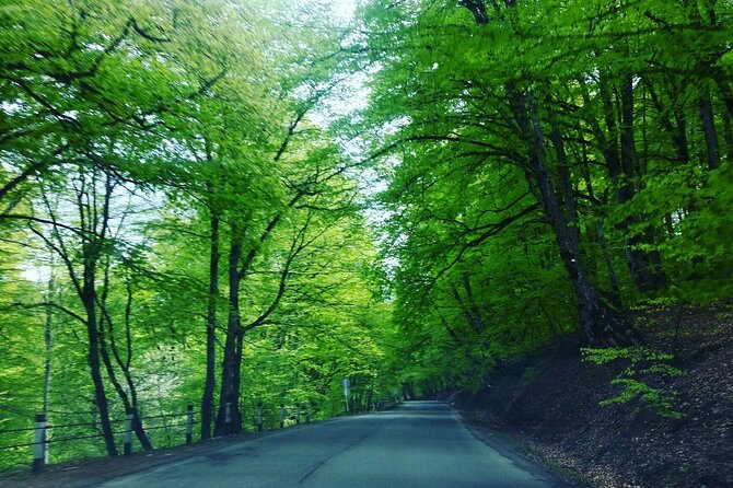 Kakheti Region Khareba Winery Telavi City Gremi Castle Day Tour - What the $100 price really covers