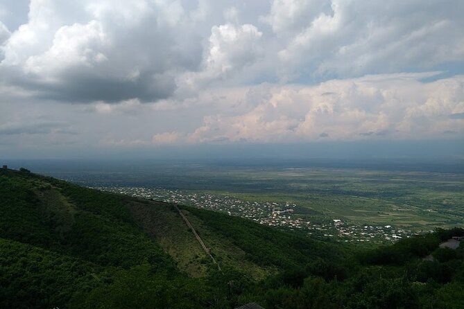 Kakheti-Sighnaghi Day Trip with wine tasting and Bodbe Monastery - Patardzeuli wine factory: four wines and chacha