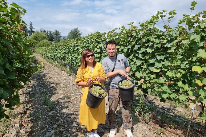 Kakheti - Small wineries and family-cooked lunch • Private tour - The private vehicle makes a long day easier