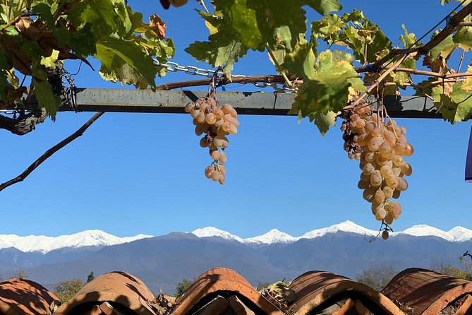 ️ Kakheti tour - Private Full Day Wine tour with Lunch and Wine tasting - Why a private Kakheti day trip makes sense