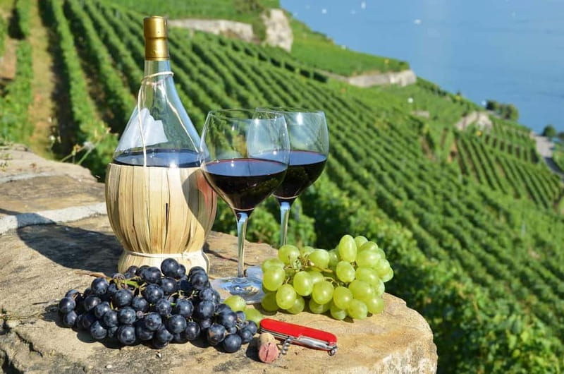 Kakheti: Wine, Love, and Adventure - Sighnaghi, the City of Love