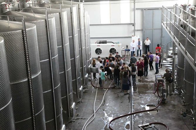 Kakheti Wine & Sighnaghi Private Tour from Tbilisi - Badiauri’s tone oven and the taste of fresh puri