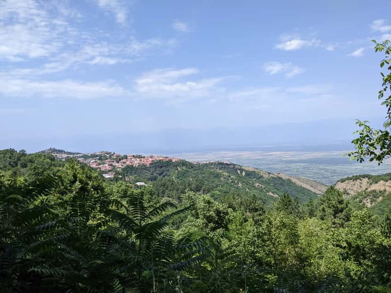 Kakheti: Wine tour from Tbilisi - Enjoy 6 sorts of wine - Key details that shape the day