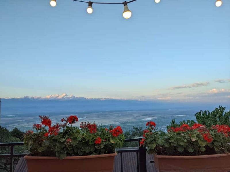 Kakheti: Wine tour from Tbilisi - Enjoy 6 sorts of wine - Lunch near Lake Ilia and the cost of eating well