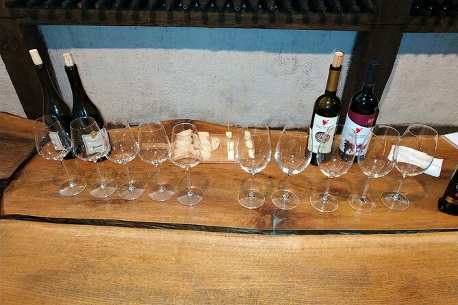 Kakheti Wine Tour with 20+ Wine Tastings & Qvevri Masterclass - From handmade vessels to Kindzmarauli production