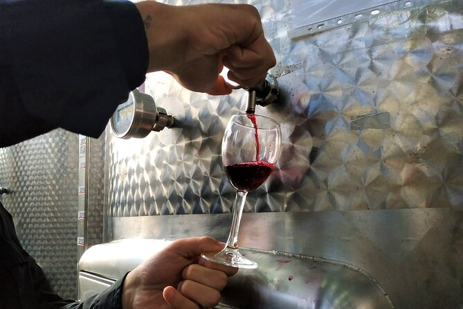 Kakheti Wine Tour with 20+ Wine Tastings & Qvevri Masterclass - Walking into Khareba’s mountain wine tunnel