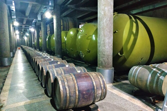 Kakheti Wine Tour with 20+ Wine Tastings & Qvevri Masterclass - Tasting from tanks and barrels at KTW