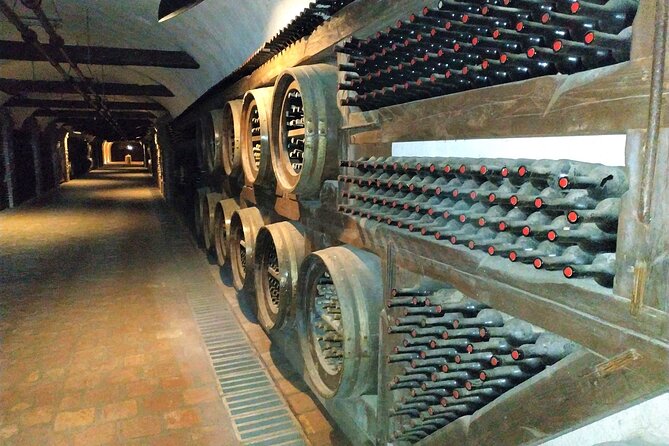 Kakheti Wine Tour with 20+ Wine Tastings & Qvevri Masterclass - What the 20-plus tastings are really worth