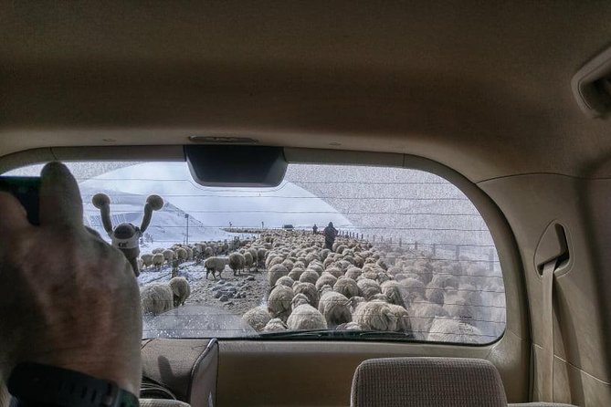 Kazbegi Adventure - Private Day Trip From Tbilisi with a Dinner + Masterclass - Timing, comfort, and practical limits