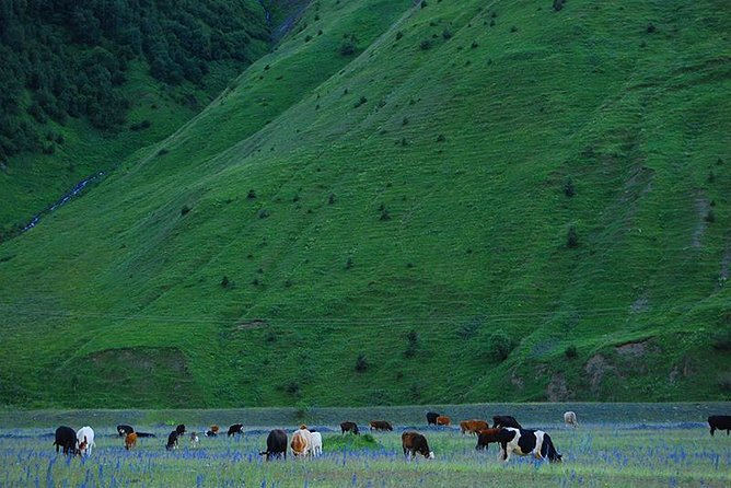 Kazbegi Adventure - Private Day Trip From Tbilisi with a Dinner + Masterclass - Ananuri Fortress, Georgia’s dramatic roadside stop