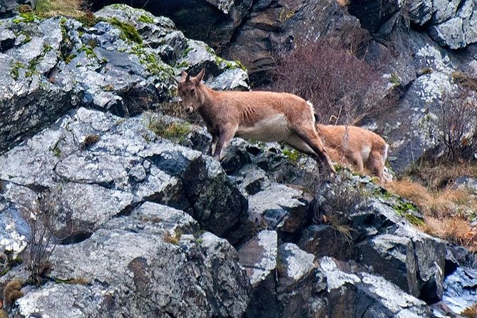Kazbegi, Ananuri , Gudauri and Zhinvali (Group Tour) - Why this day trip works from Tbilisi